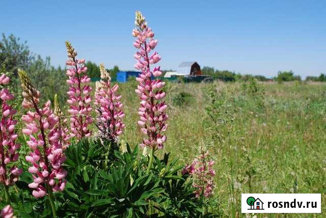 Участок СНТ, ДНП 8 сот. на продажу в Озёрах Озёры - изображение 1