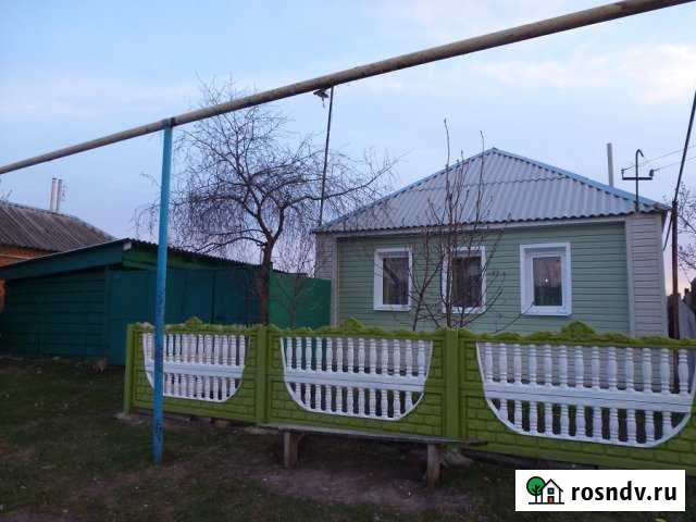 Дом 56 м² на участке 50 сот. на продажу в Короче Короча - изображение 1