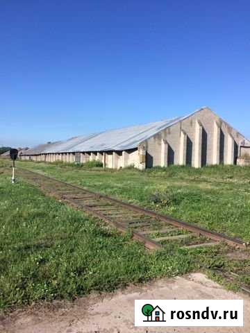 Складское помещение, 1200 кв.м. Томск - изображение 1