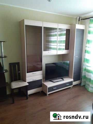 1-комнатная квартира, 50 м², 5/17 эт. в аренду на длительный срок в Балашихе Балашиха - изображение 1