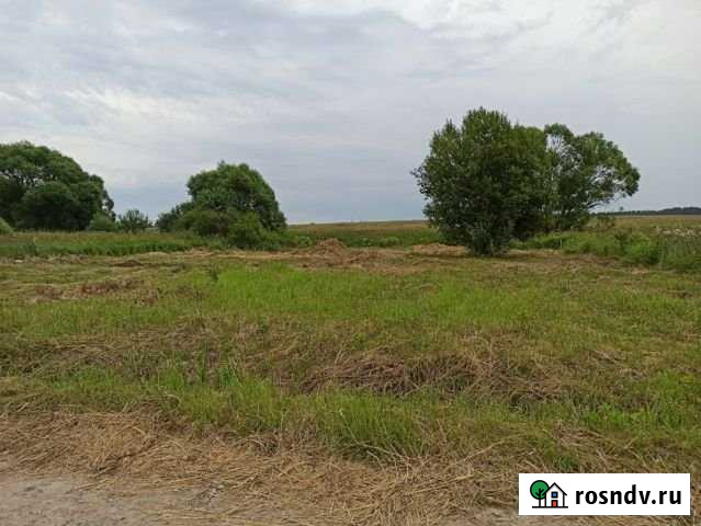 Участок СНТ, ДНП 12 сот. на продажу в Речицах Речицы - изображение 1