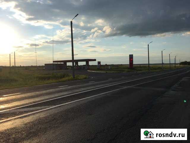 Участок СНТ, ДНП 979 сот. на продажу в Большой Соснове Большая Соснова - изображение 1