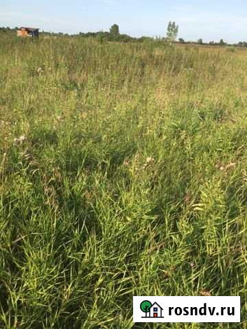 Участок СНТ, ДНП 10 сот. на продажу в Червишево Червишево - изображение 1