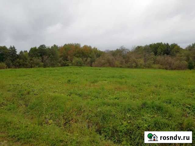 Участок ИЖС 50 сот. на продажу в Чернушке Чернушка - изображение 1