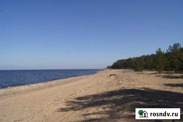 Участок ИЖС 150 сот. на продажу в Лебяжьем Ленинградской области Лебяжье - изображение 1