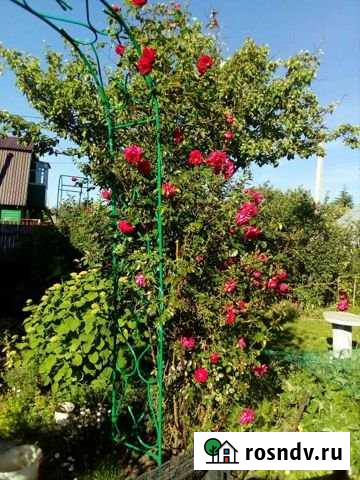 Дача 75 м² на участке 5 сот. на продажу в Туношне Туношна - изображение 1