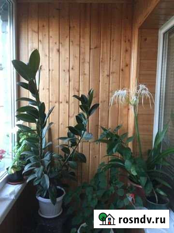 3-комнатная квартира, 60 м², 9/9 эт. на продажу в Старом Осколе Старый Оскол - изображение 1