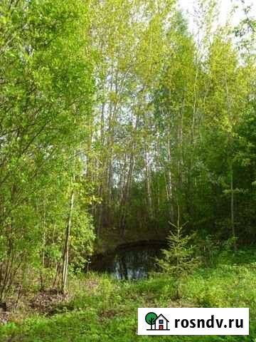 Участок ИЖС 25 сот. на продажу в Ярославле Ярославль - изображение 1