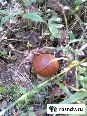 Дом 45 м² на участке 10 сот. на продажу в Юрьевце Юрьевец - изображение 1