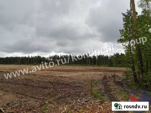 Участок СНТ, ДНП 10 сот. на продажу в Лосино-Петровском Лосино-Петровский - изображение 1