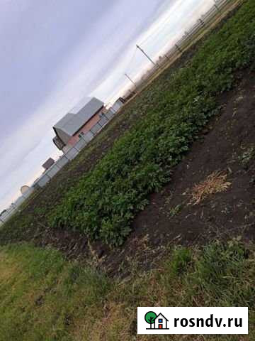 Участок СНТ, ДНП 16 сот. на продажу в Омске Омск - изображение 1