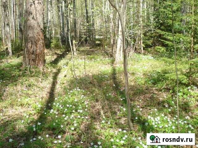 Дом 152.6 м² на участке 8 сот. на продажу в Сосновом Бору Сосновый Бор - изображение 1