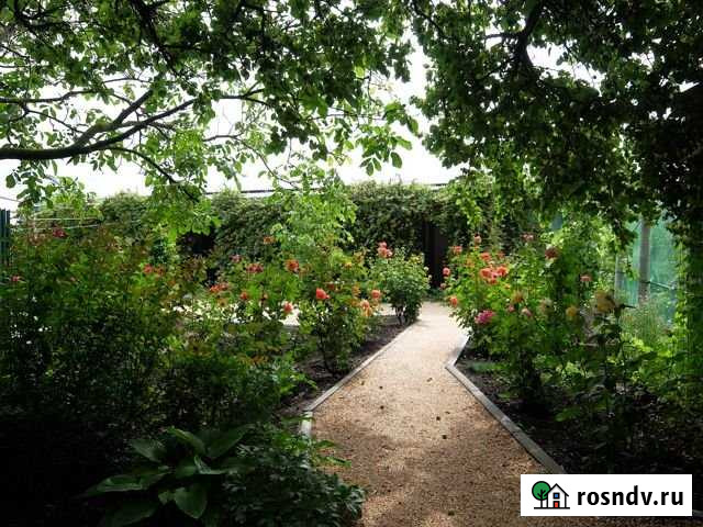 Дом 28 м² на участке 15 сот. в аренду посуточно в Должанской Должанская - изображение 1