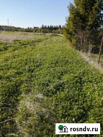 Участок СНТ, ДНП 20 сот. на продажу в Гостилицах Гостилицы - изображение 1