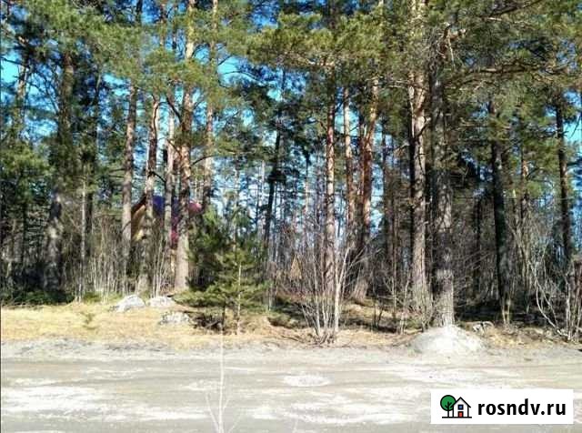 Участок СНТ, ДНП 10 сот. на продажу в Каменногорске Каменногорск - изображение 1