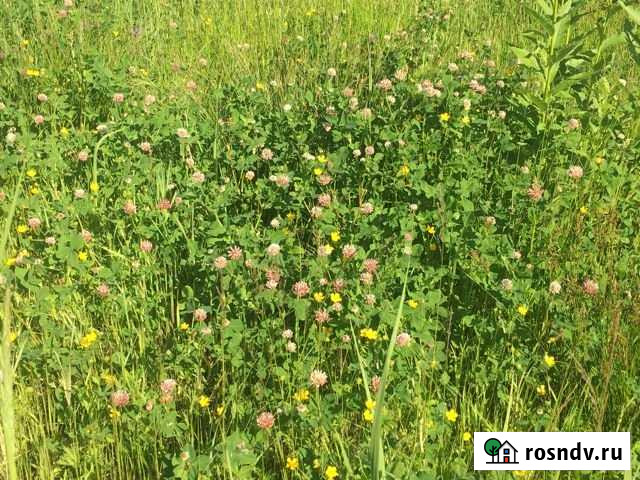 Участок ИЖС 8 сот. на продажу в Тюмени Тюмень - изображение 1