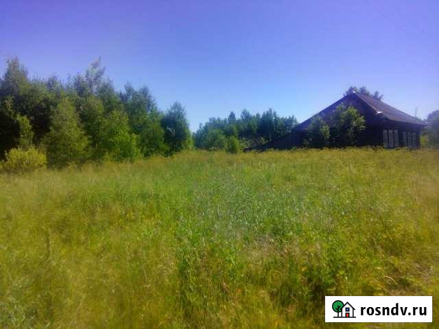 Дом 62 м² на участке 15 сот. на продажу в Пестяках Пестяки - изображение 1