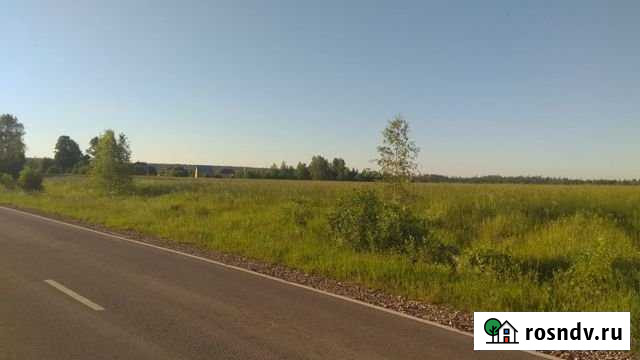 Участок ИЖС 30 сот. на продажу в Рузе Руза - изображение 1