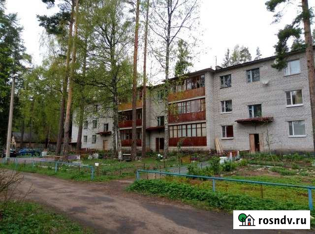 Дача 48 м² на участке 1 сот. в аренду на длительный срок в Песочном Песочное - изображение 1