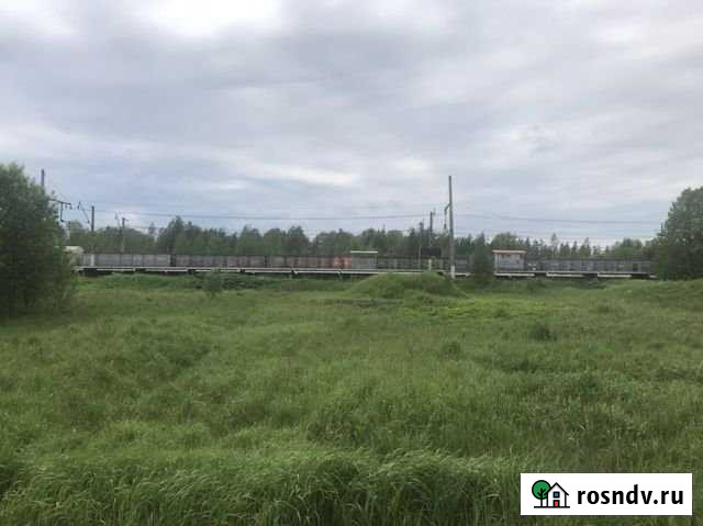 Участок ИЖС 10 сот. на продажу в Толмачево Ленинградской области Толмачево - изображение 1
