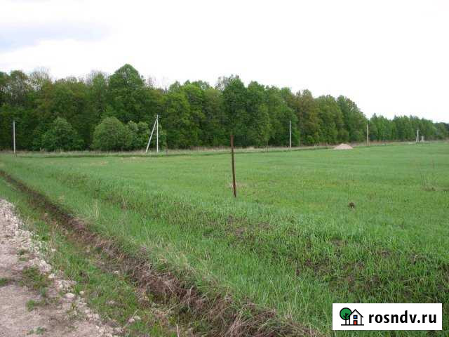 Участок СНТ, ДНП 25 сот. на продажу в Заокском Заокский - изображение 1