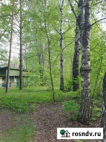 Участок ИЖС 23 сот. на продажу в Васильево Васильево - изображение 1