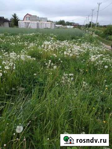 Участок СНТ, ДНП 5 сот. на продажу в Кингисеппе Кингисепп - изображение 1