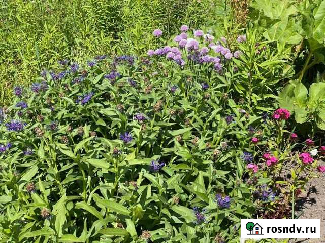 Дача 20 м² на участке 10 сот. на продажу в Кемерово Кемерово - изображение 1