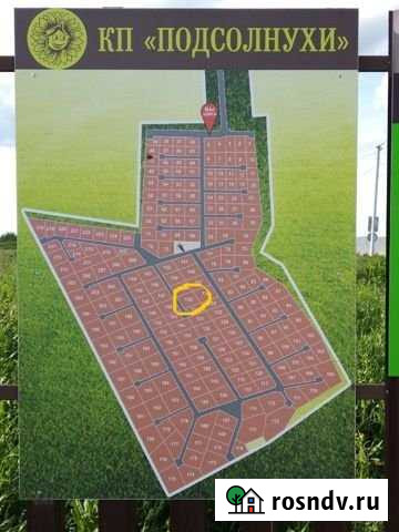 Участок ИЖС 913 сот. на продажу в Лаголово Лаголово - изображение 1