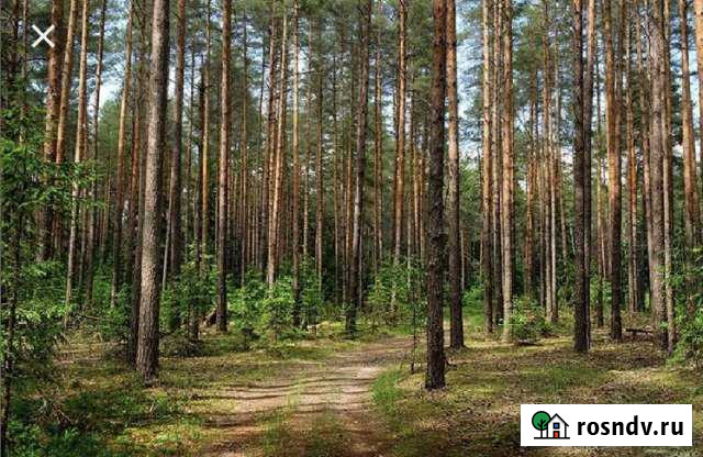 Участок ИЖС 6 сот. на продажу в Набережных Челнах Набережные Челны - изображение 1