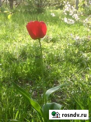 Участок ИЖС 10 сот. на продажу в Рязани Рязань - изображение 1