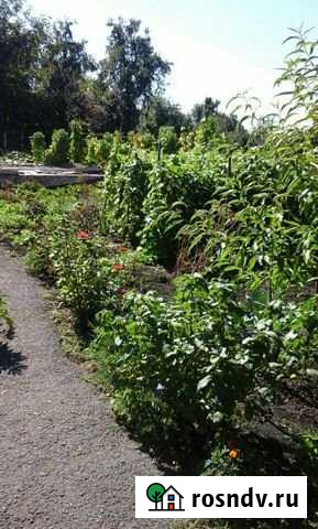 Участок СНТ, ДНП 6 сот. на продажу во Владикавказе Владикавказ - изображение 1