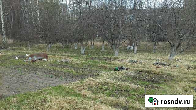 Участок СНТ, ДНП 8 сот. на продажу в Кстово Кстово - изображение 1