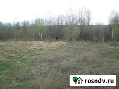 Участок СНТ, ДНП 10 сот. на продажу в Тюмени Тюмень - изображение 1