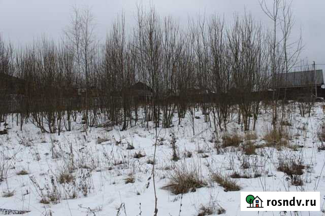 Участок СНТ, ДНП 24 сот. на продажу в Пролетарском Московской области Пролетарский - изображение 1