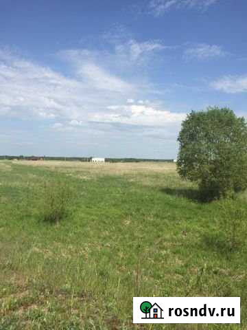 Участок СНТ, ДНП 377 сот. на продажу в Ивангороде Ивангород - изображение 1