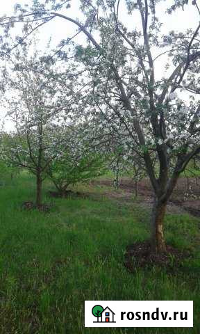 Участок СНТ, ДНП 10 сот. на продажу в Маршале Жуковой Маршала Жукова - изображение 1