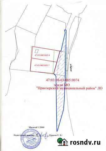 Участок ИЖС 100 сот. на продажу в Сосново Сосново - изображение 1