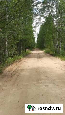 Участок СНТ, ДНП 10 сот. на продажу в Корткеросе Корткерос - изображение 1