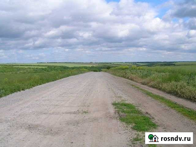 Участок СНТ, ДНП 560 сот. на продажу в Бегуницах Бегуницы - изображение 1