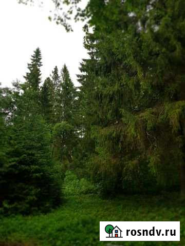 Участок ИЖС 15 сот. на продажу в Елизаветино Елизаветино - изображение 1