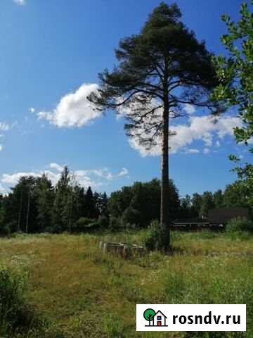 Участок ИЖС 20 сот. на продажу в Ломоносове Ломоносов - изображение 1