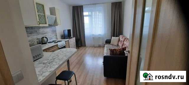 Квартира-студия, 21 м², 16/19 эт. на продажу в Мурино Мурино - изображение 1