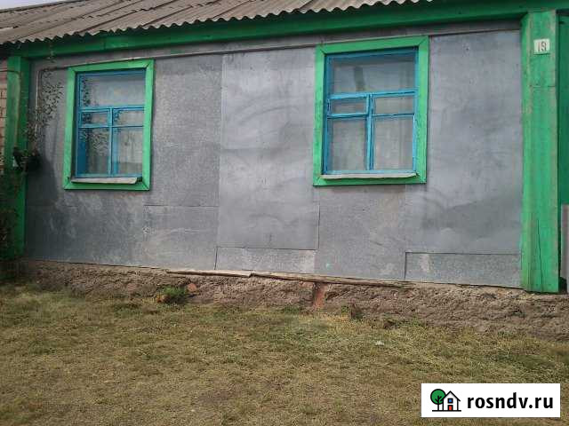 Дом 54.4 м² на участке 12 сот. на продажу в Илеке Илек - изображение 1