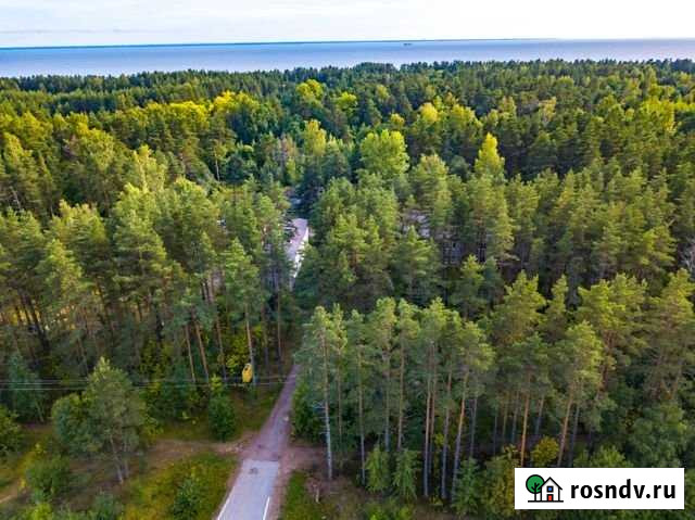 Участок СНТ, ДНП 2867 сот. на продажу в Песочном Песочное - изображение 1