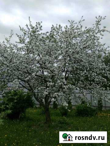 Участок СНТ, ДНП 6 сот. на продажу в Краснозаводске Краснозаводск - изображение 1