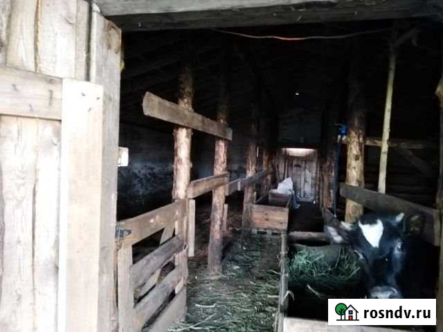 Участок СНТ, ДНП 1500 сот. на продажу в Верхнем Дуброво Верхнее Дуброво - изображение 1