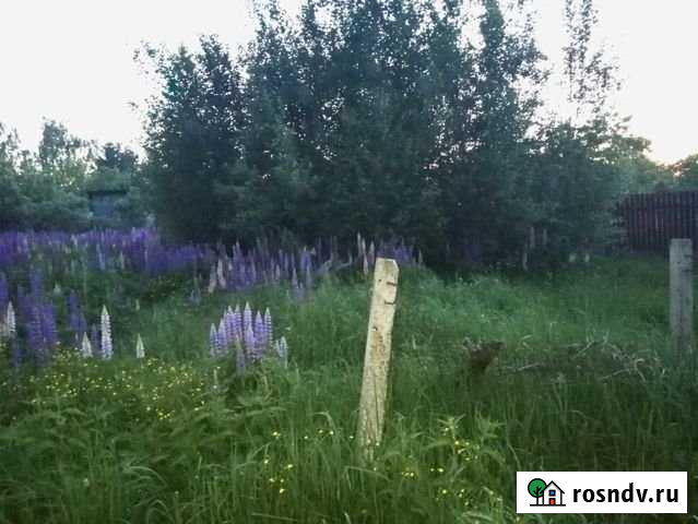 Участок СНТ, ДНП 5 сот. на продажу в Буревестнике Буревестник - изображение 1