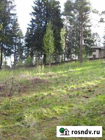 Участок СНТ, ДНП 40 сот. на продажу в Сертолово Сертолово - изображение 1