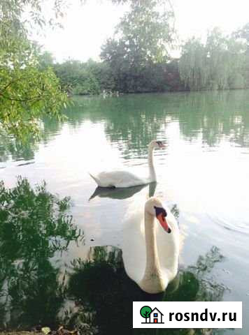 Участок ИЖС 15 сот. на продажу в Калининграде Калининград - изображение 1